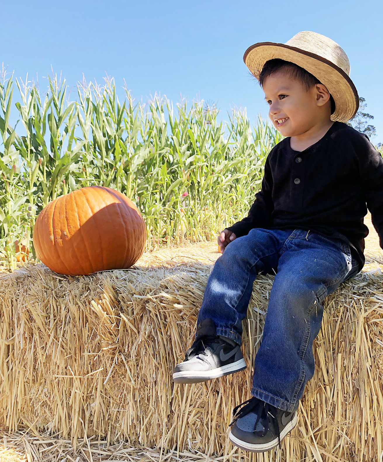 Pumpkin Patch